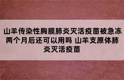 山羊传染性胸膜肺炎灭活疫苗被急冻两个月后还可以用吗 山羊支原体肺炎灭活疫苗